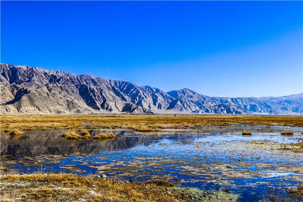 爱团-新疆帕尔米高原湿地