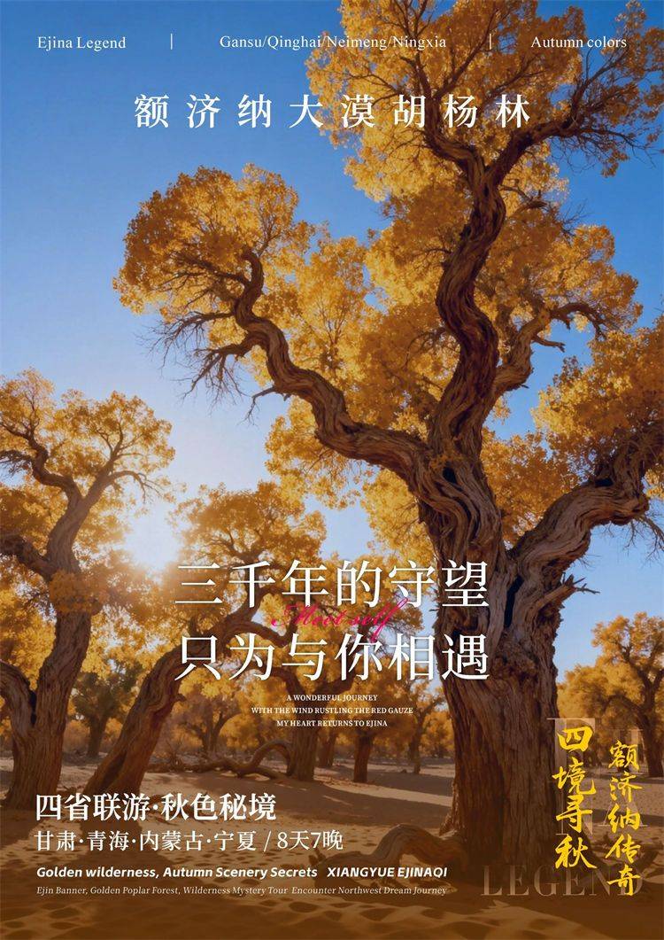微信图片_2026-08-12_162249_026.jpg