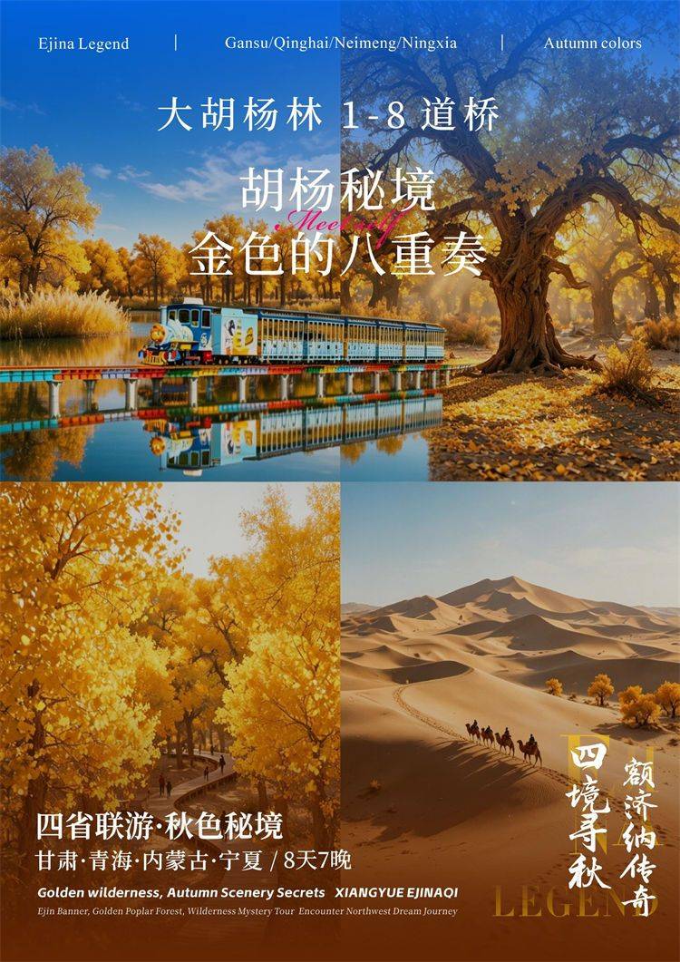 微信图片_2026-08-12_162304_337.jpg