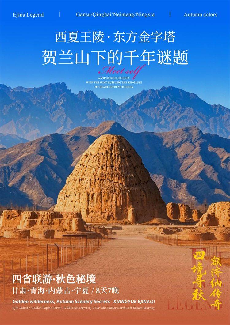 微信图片_2026-08-12_162314_761.jpg