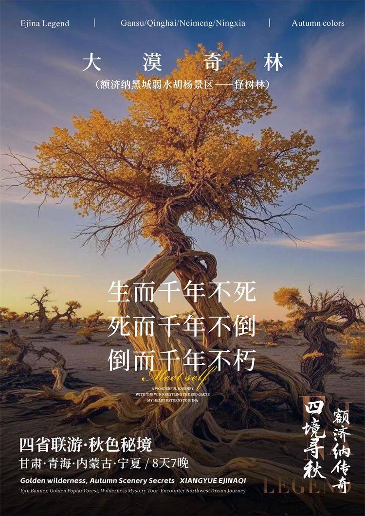 微信图片_2026-08-12_162257_242.jpg
