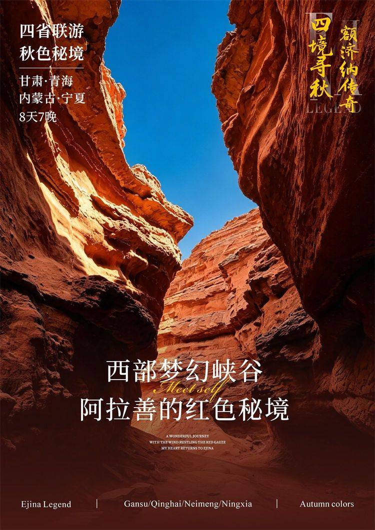 微信图片_2026-08-12_162306_930.jpg