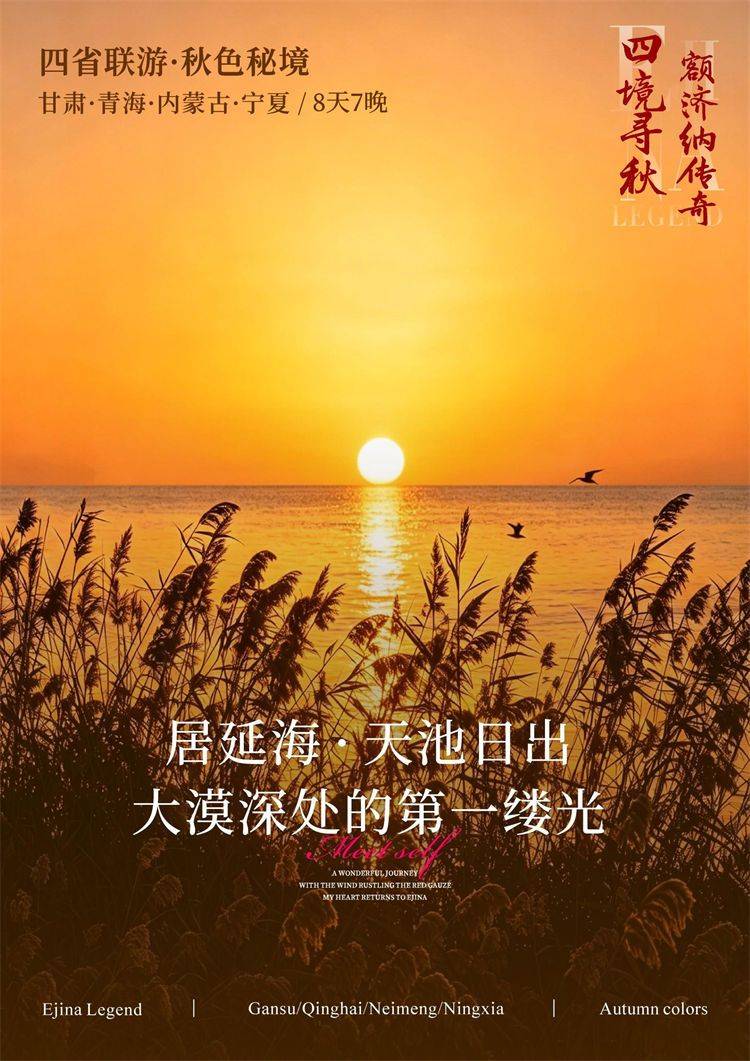 微信图片_2026-08-12_162259_818.jpg