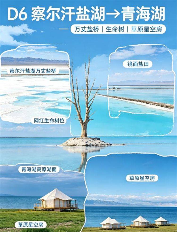 360截图20260813230532231.jpg